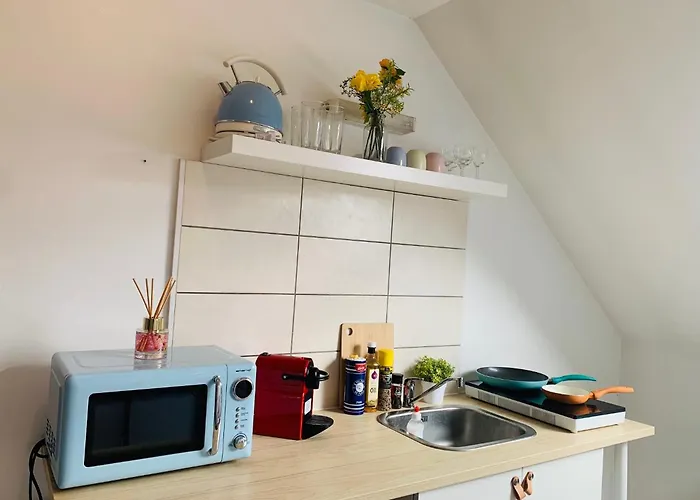 Cocooning Modern Design Studio